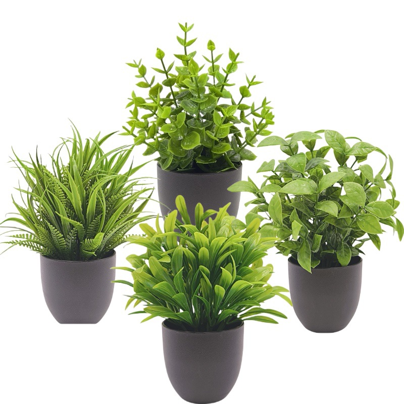Simulation Green Plant Bonsai  - đánh giá và giá Home Office Simulator