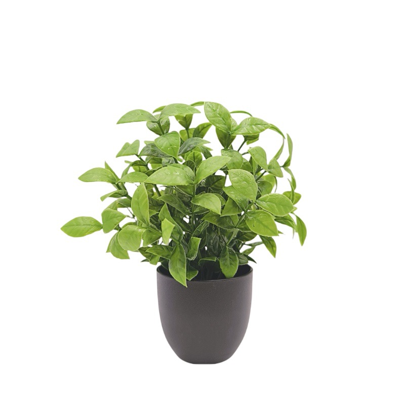 Simulation Green Plant Bonsai  - đánh giá và giá Home Office Simulator