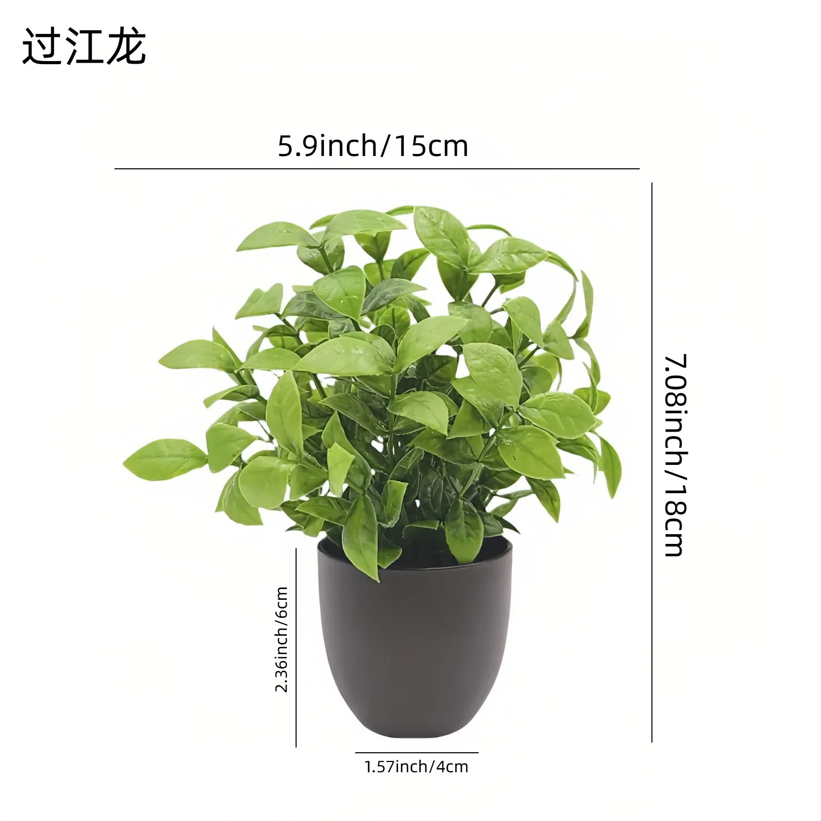 Simulation Green Plant Bonsai  - đánh giá và giá Home Office Simulator