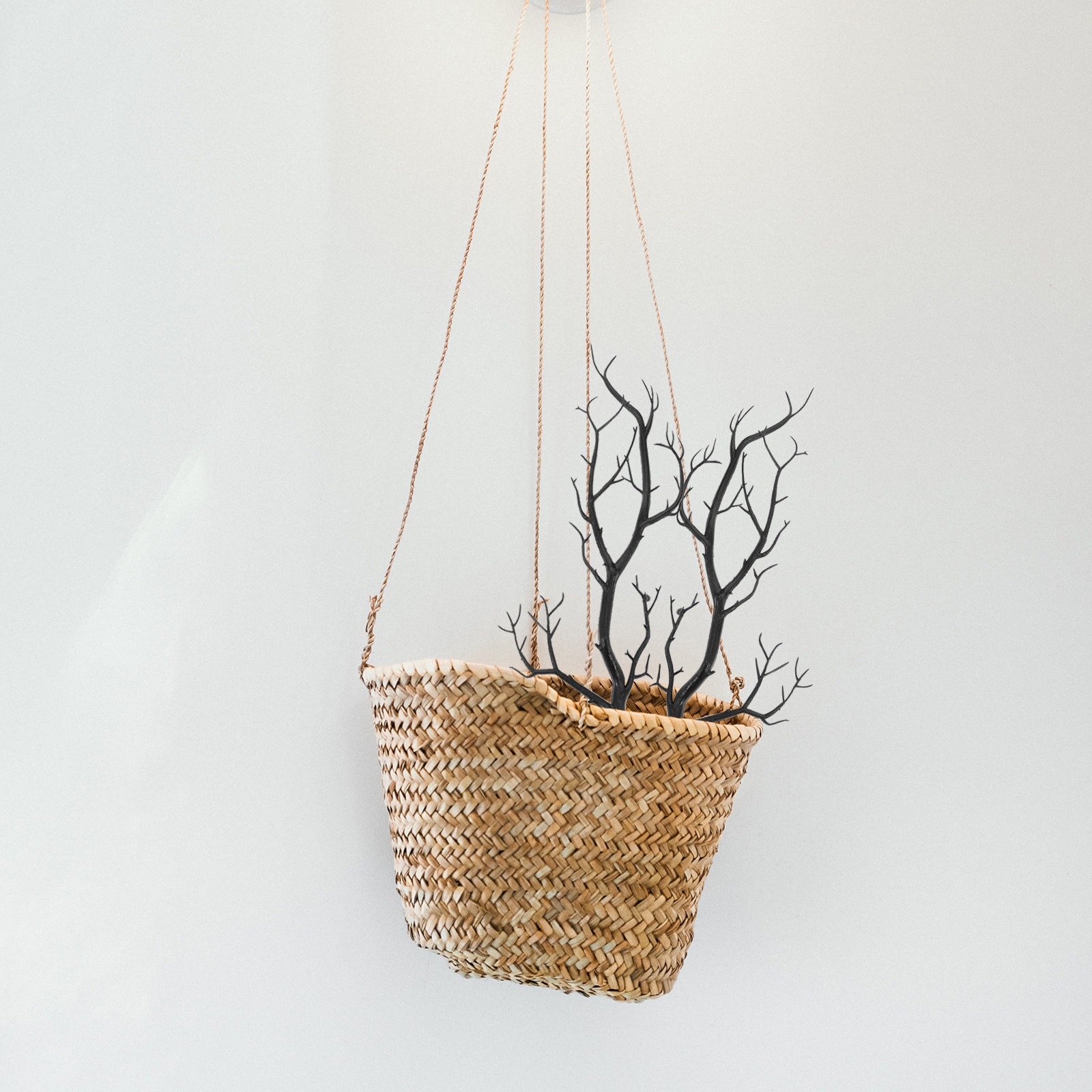 6Pcs Dried Tree Branches Artif - đánh giá và giá Home Office Simulator